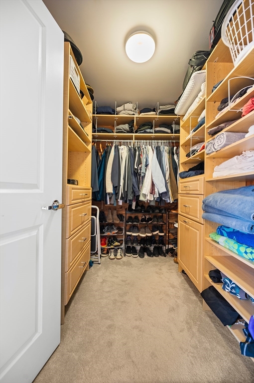 519 Harrison Avenue # D613