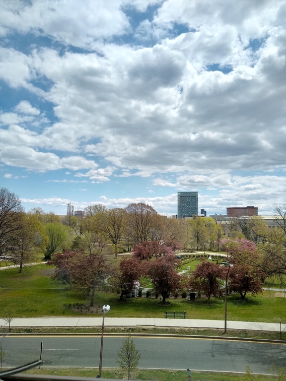 73 Park Drive # 19
