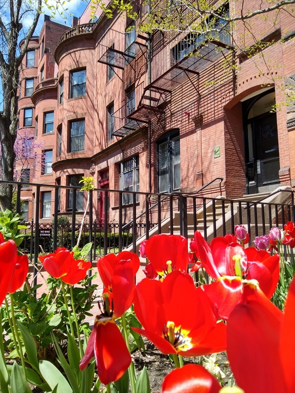 399 Marlborough Street # C