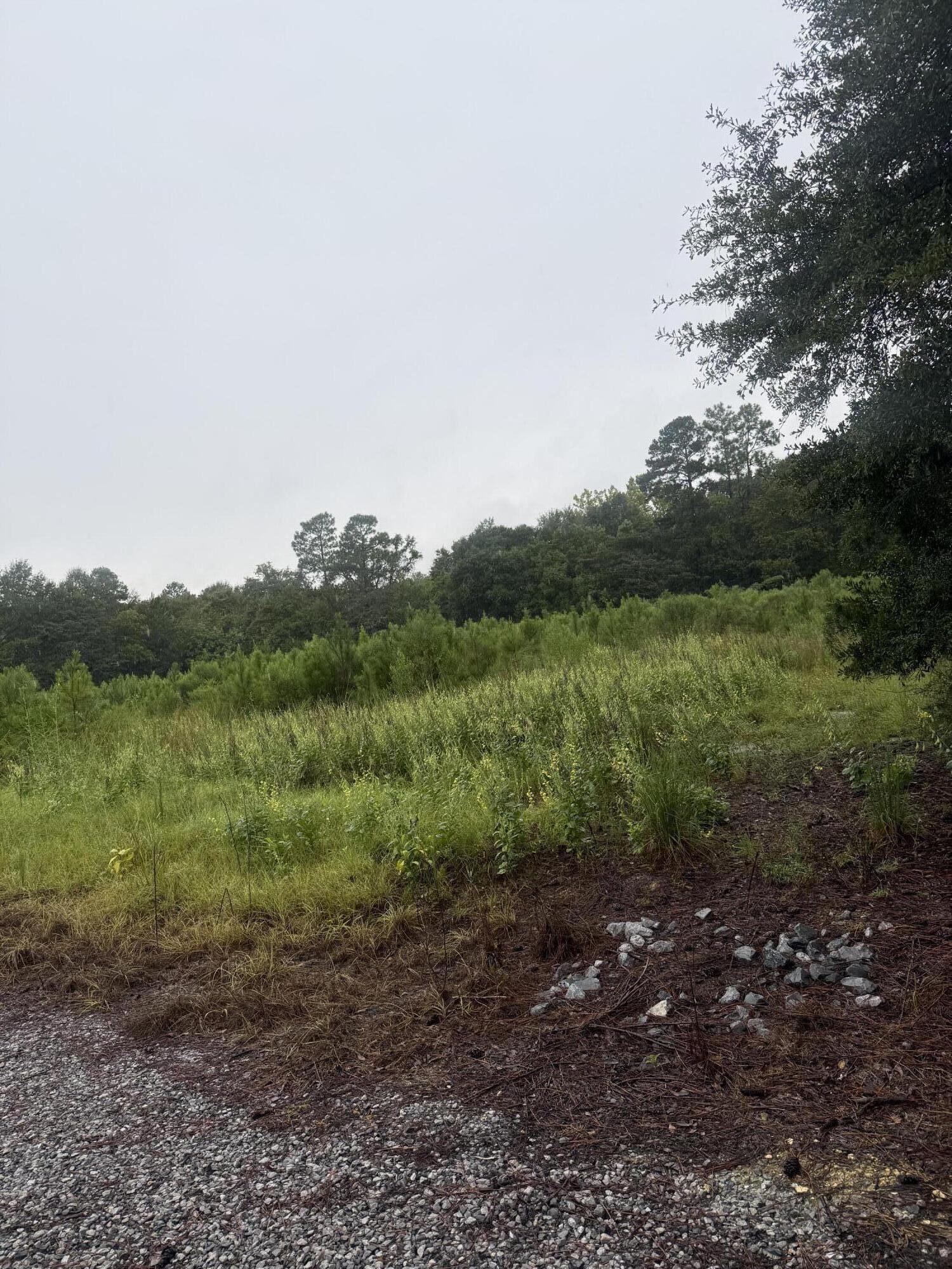 1950 Grady Baggett Road