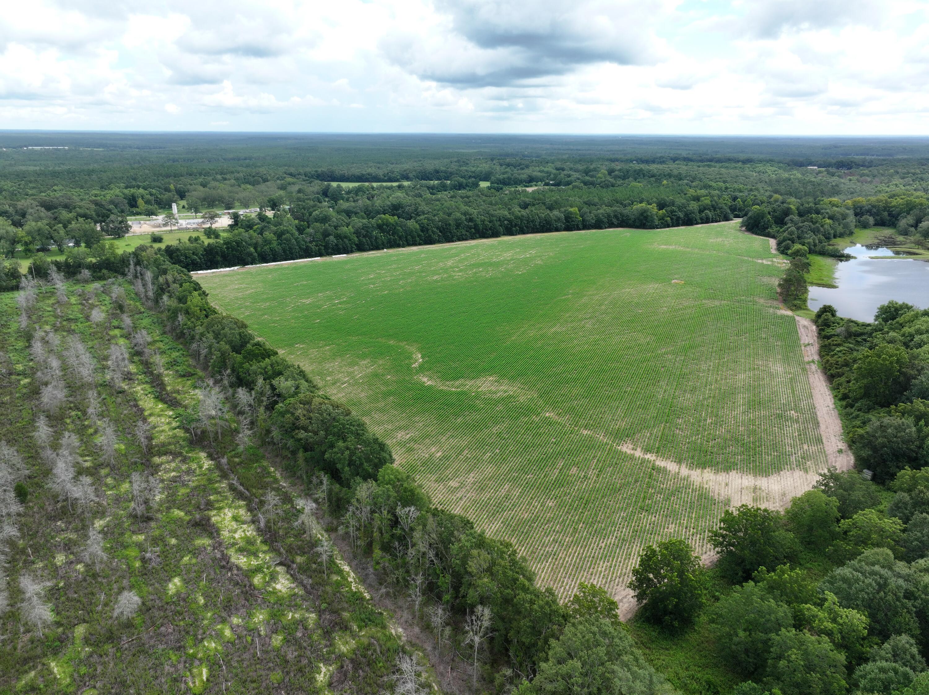 xx N Co Highway 285, DeFuniak Springs