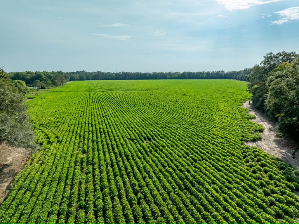 xx N Co Highway 285, DeFuniak Springs