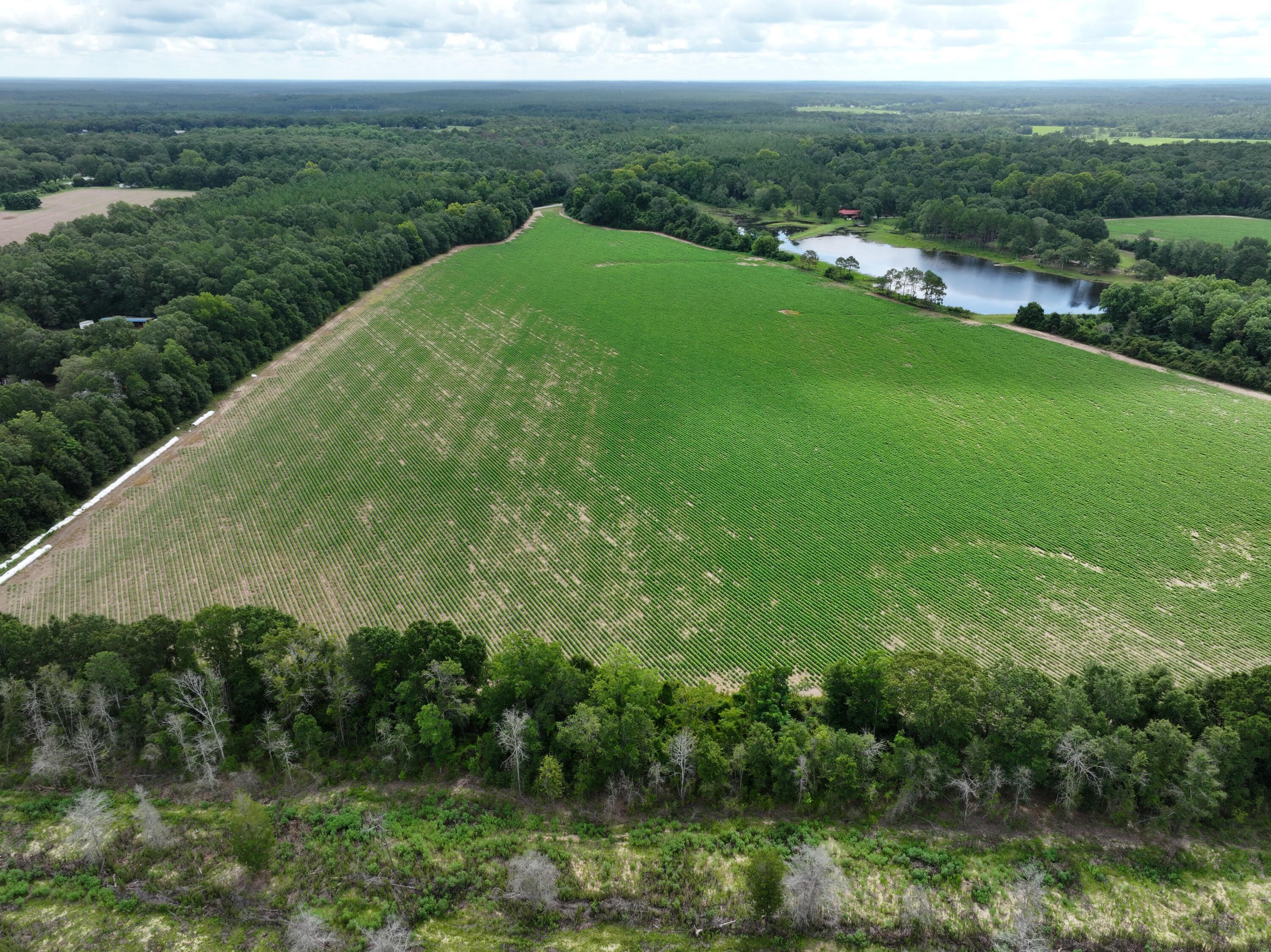 xx N Co Highway 285, DeFuniak Springs