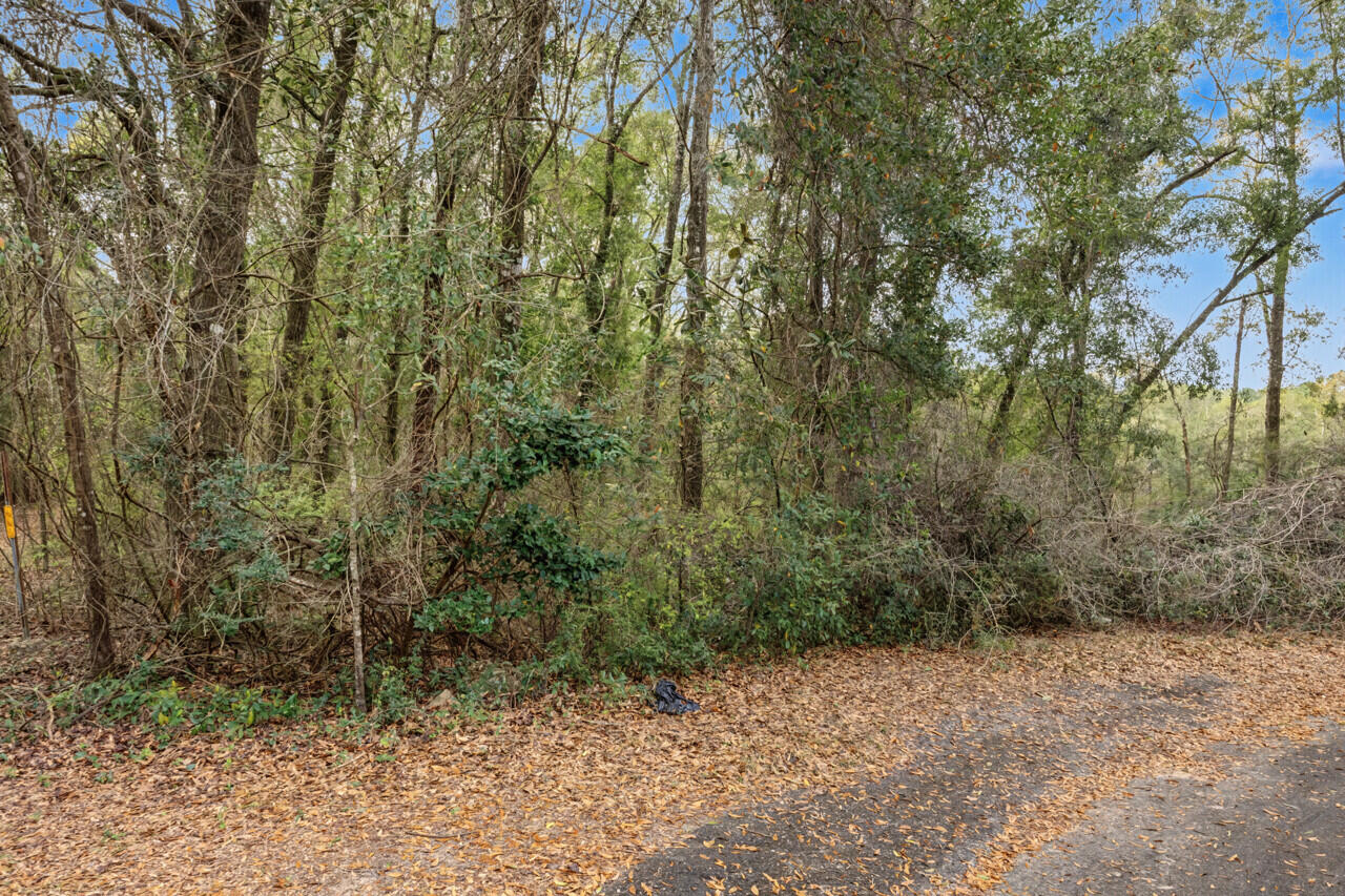 236 Seneca Trail