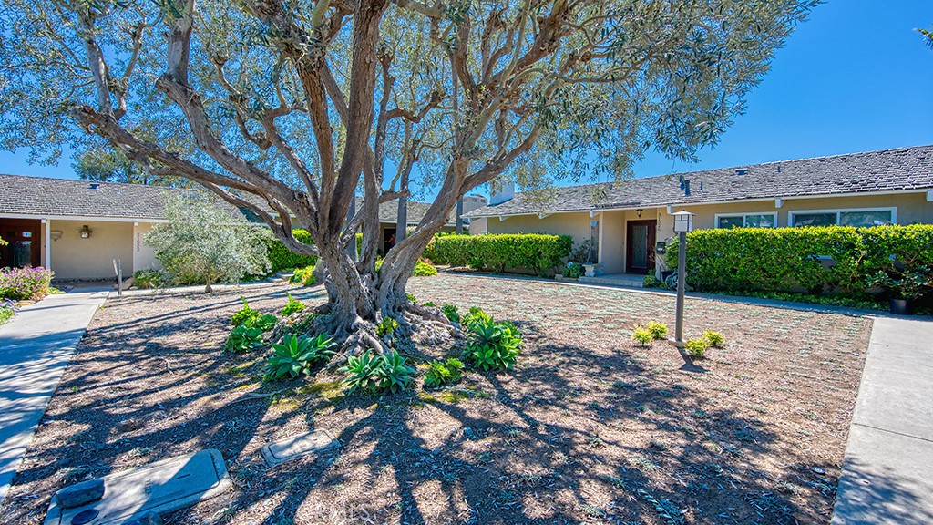 31524 Flying Cloud Drive