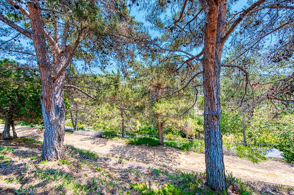 1017 Honeysuckle Drive