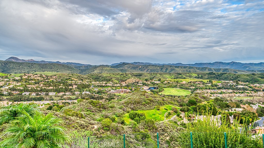 6 Panorama