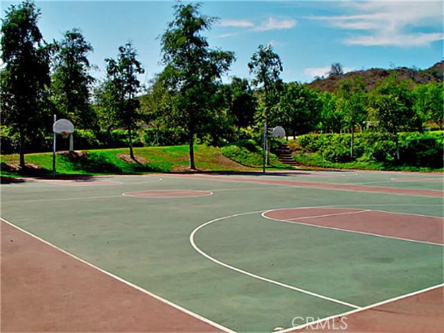 5 Pinewood