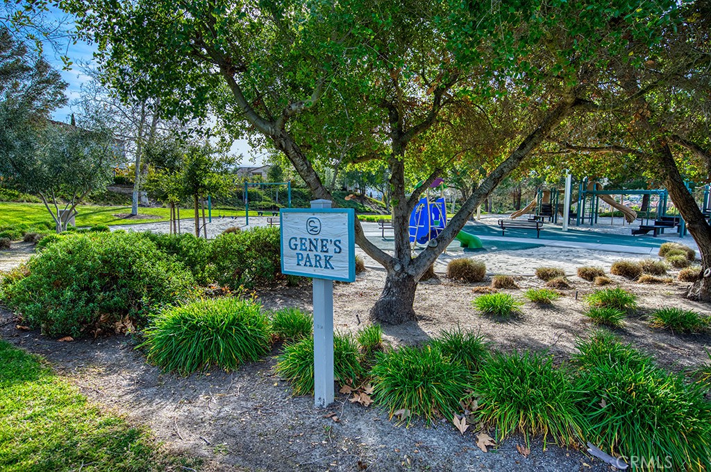6 Coffeeberry Court