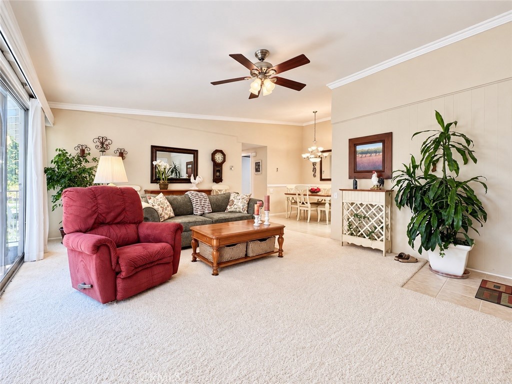 255 Calle Aragon P