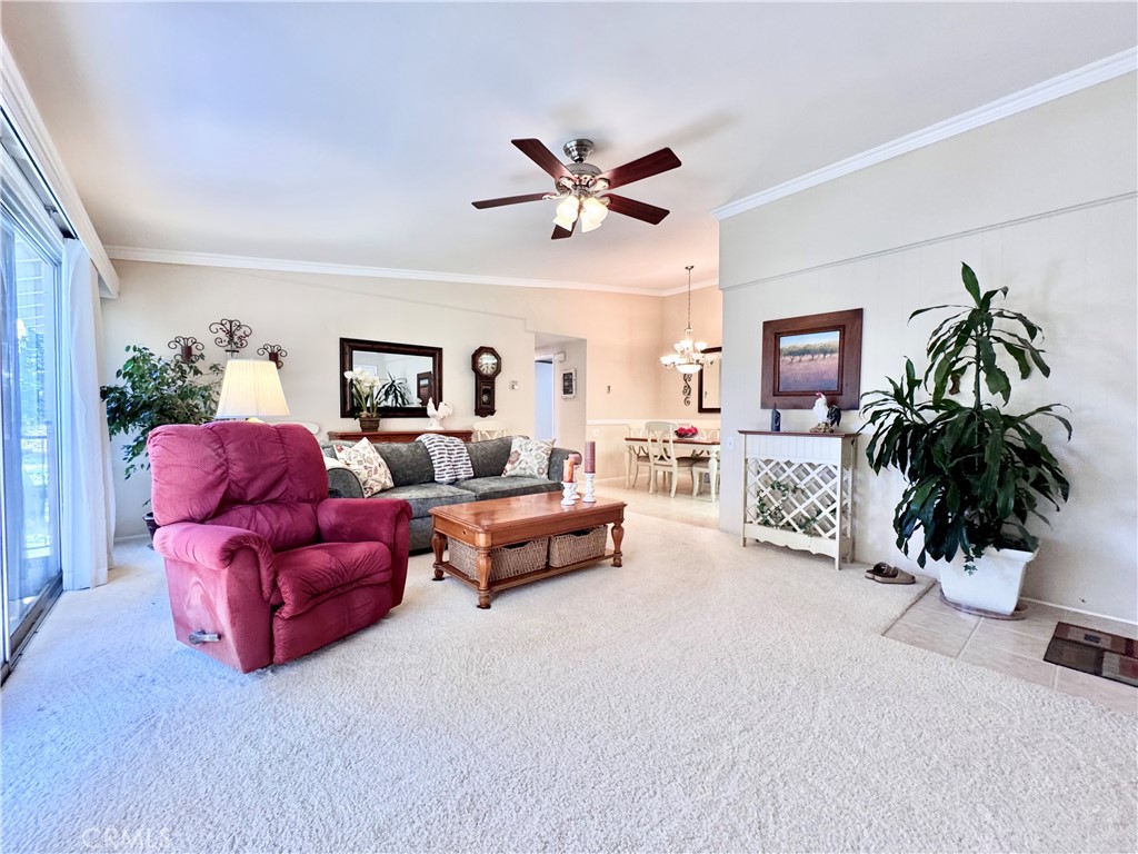 255 Calle Aragon P
