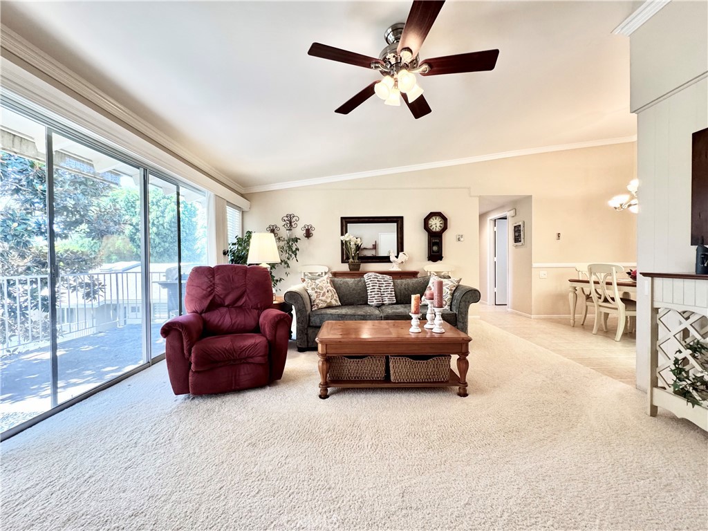 255 Calle Aragon P