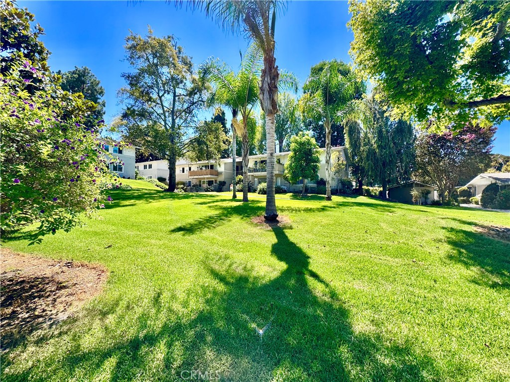 255 Calle Aragon P