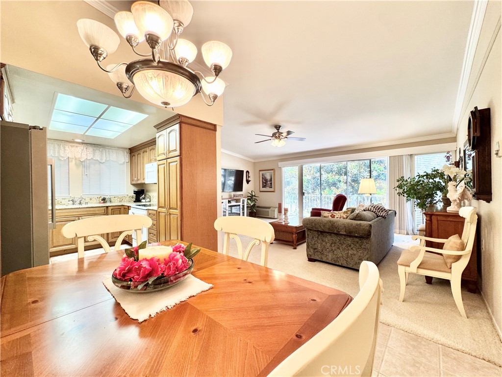 255 Calle Aragon P