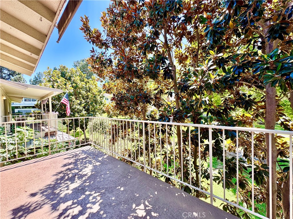 255 Calle Aragon P