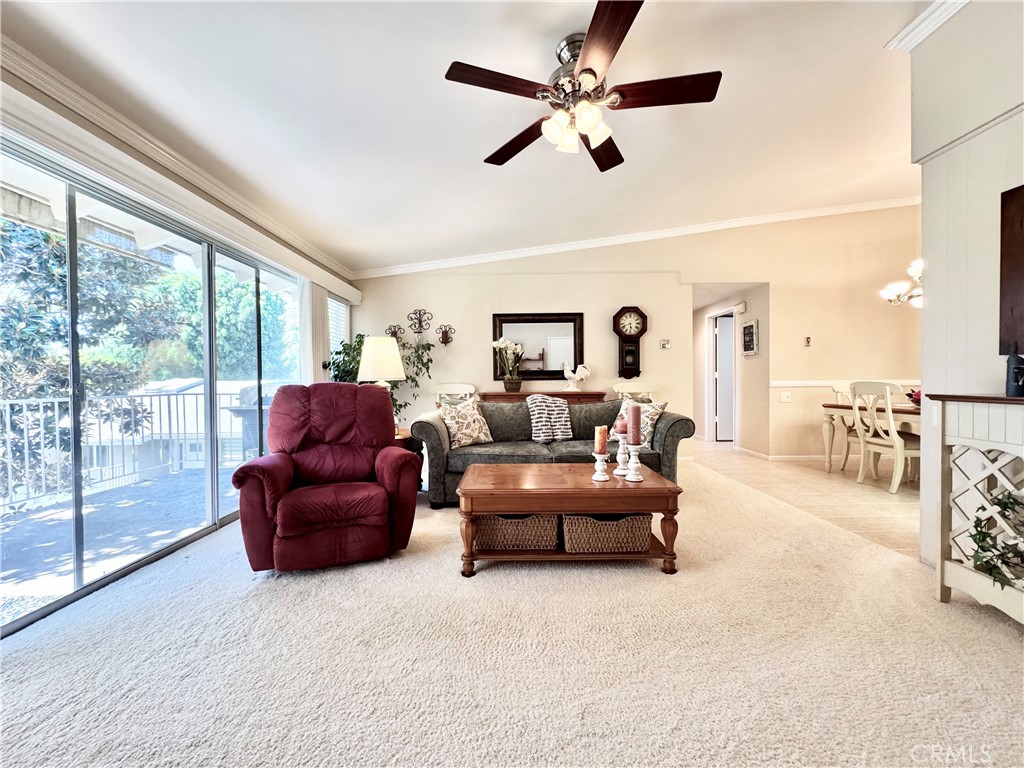 255 Calle Aragon P