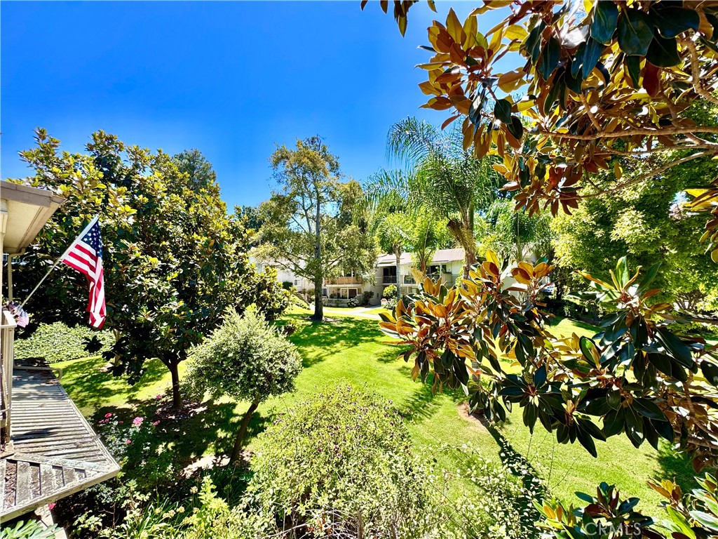 255 Calle Aragon P