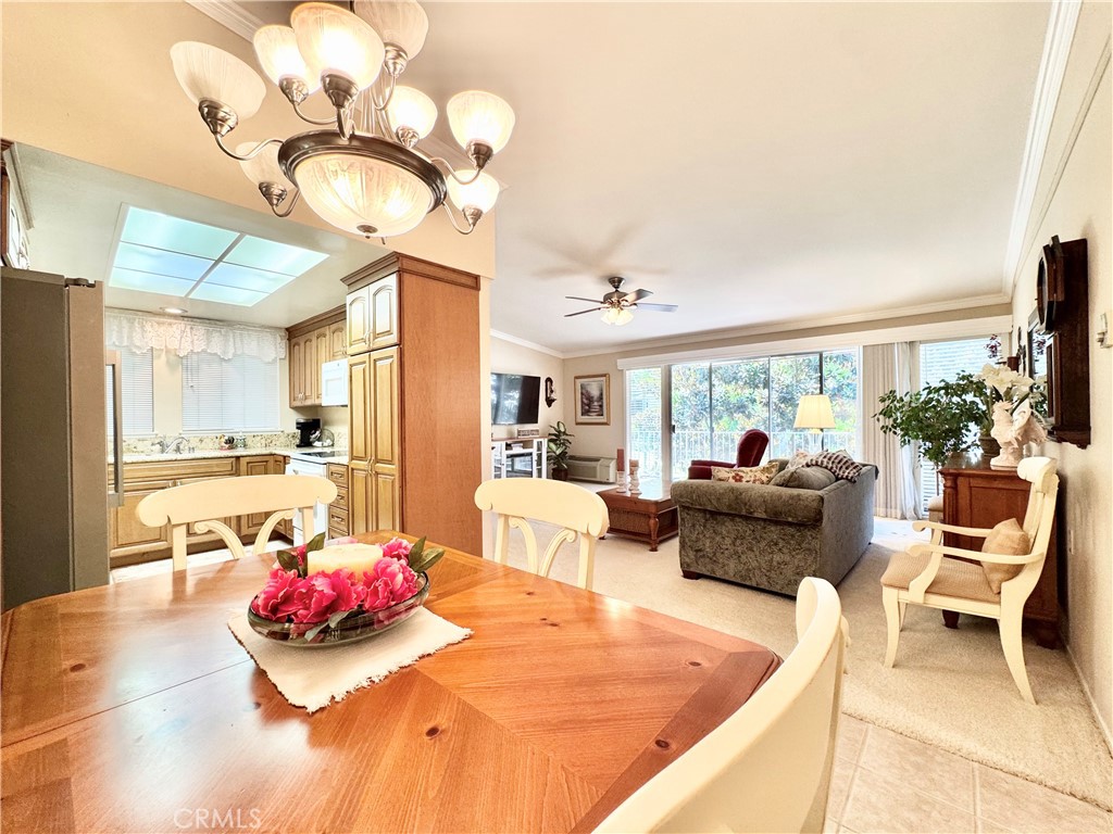 255 Calle Aragon P