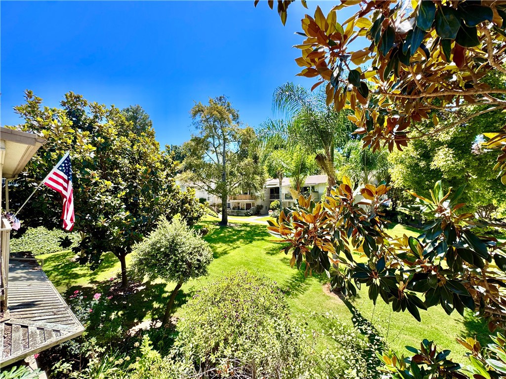 255 Calle Aragon P