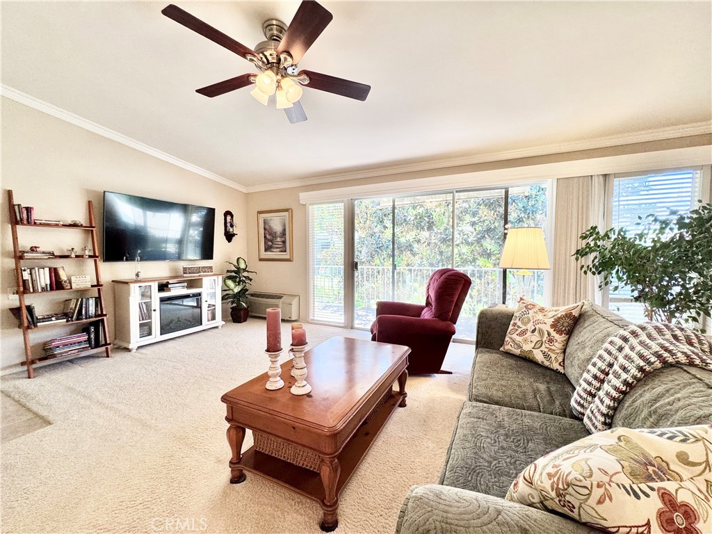 255 Calle Aragon P