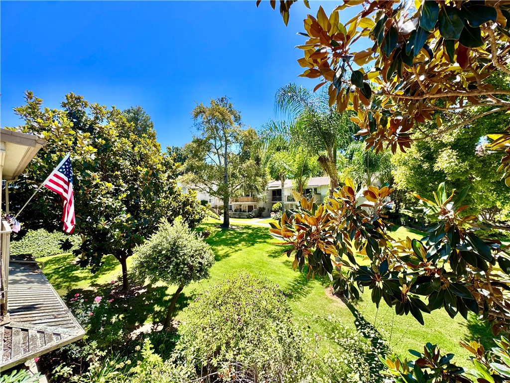 255 Calle Aragon P