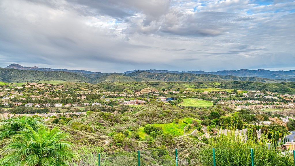 6 Panorama