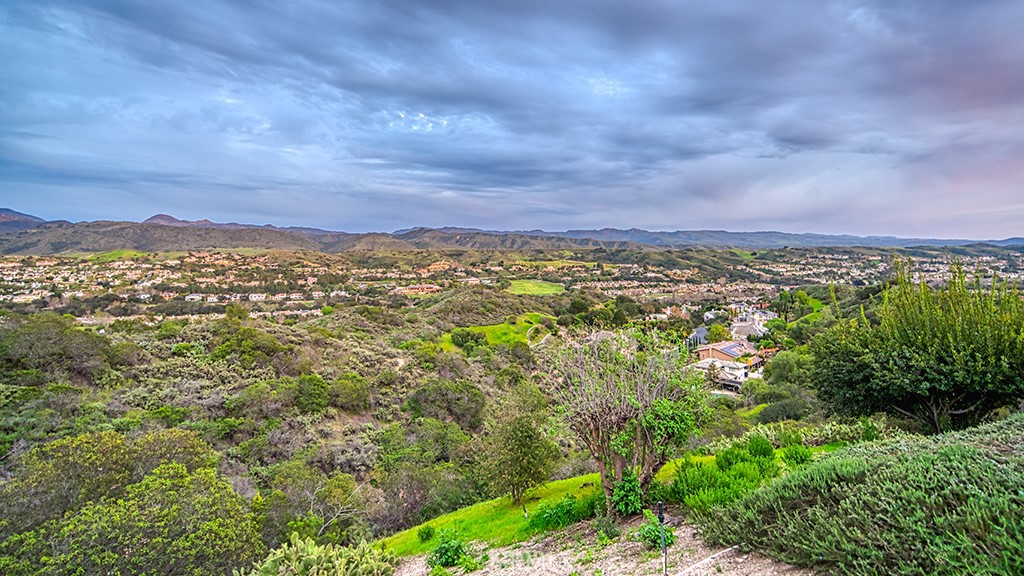 6 Panorama