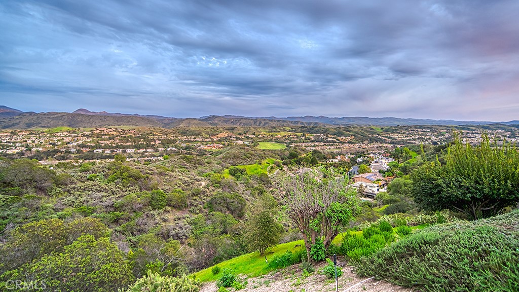 6 Panorama