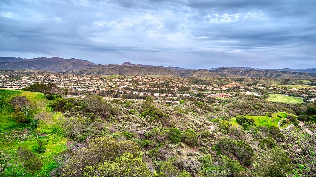 6 Panorama