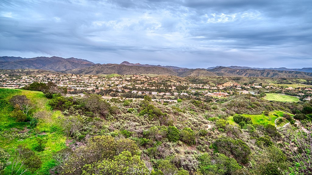 6 Panorama