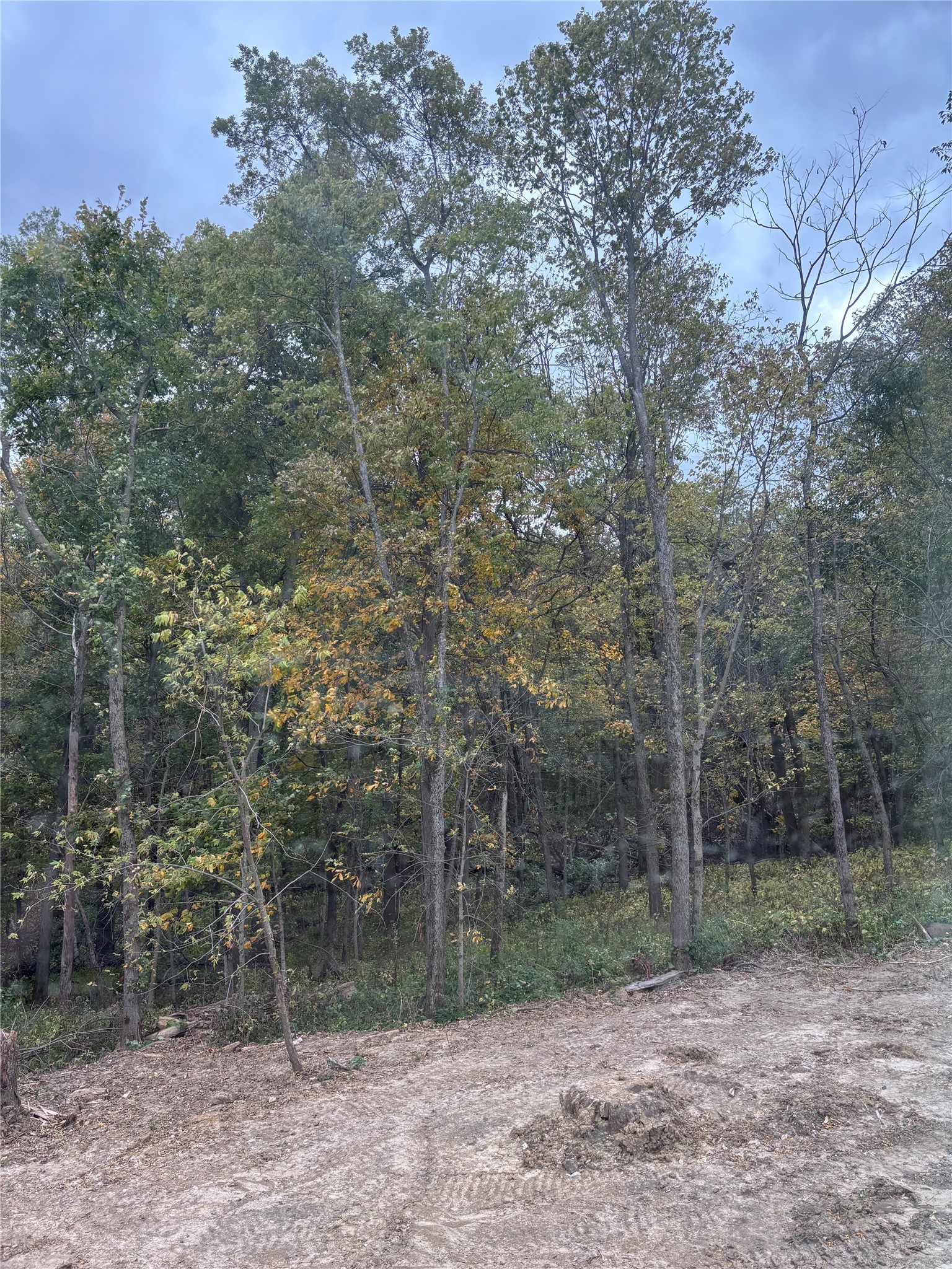 5639 Walnut Ridge Drive