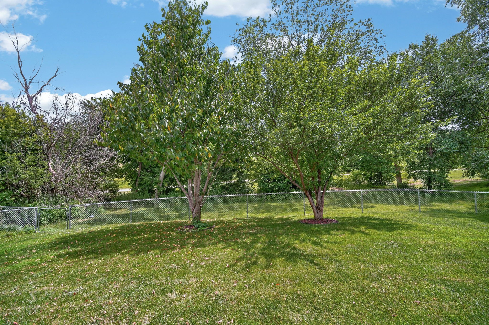 485 Fawn Circle