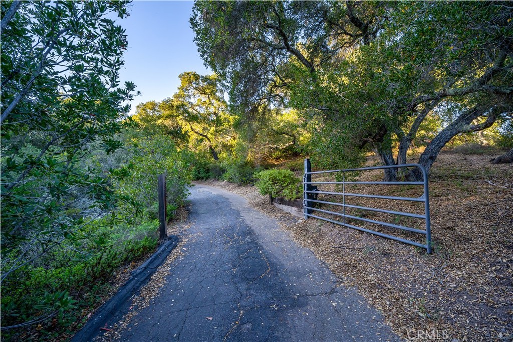 4411 See Canyon Road