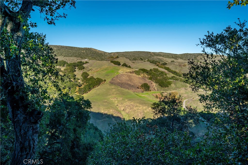 4411 See Canyon Road