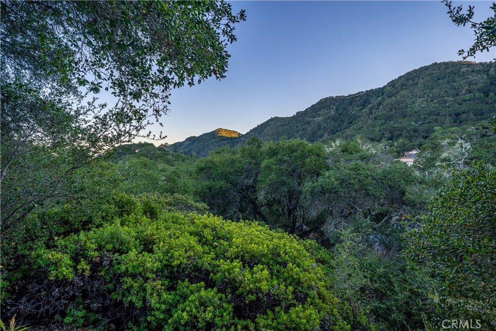 4411 See Canyon Road