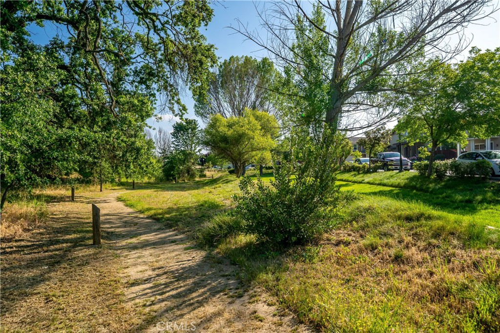 11816 Ranunculo Court