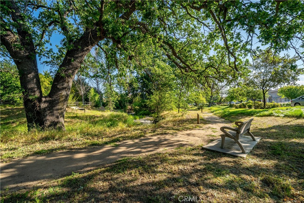 11816 Ranunculo Court