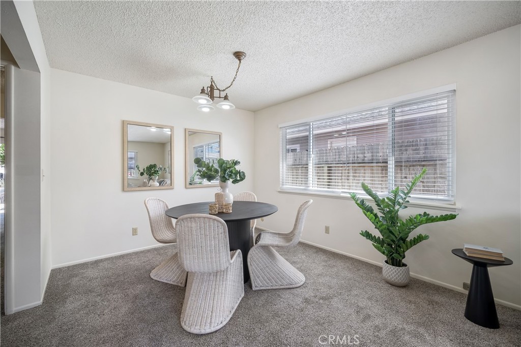 550 Mitchell Drive