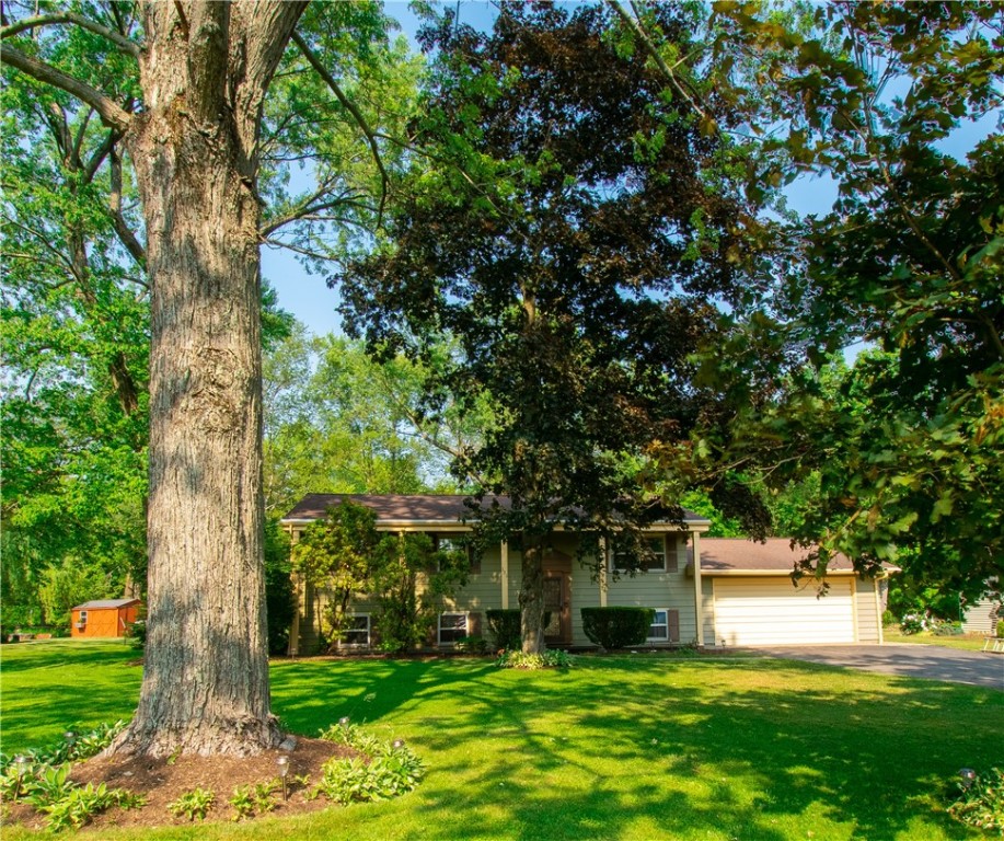131 Doughty Rd