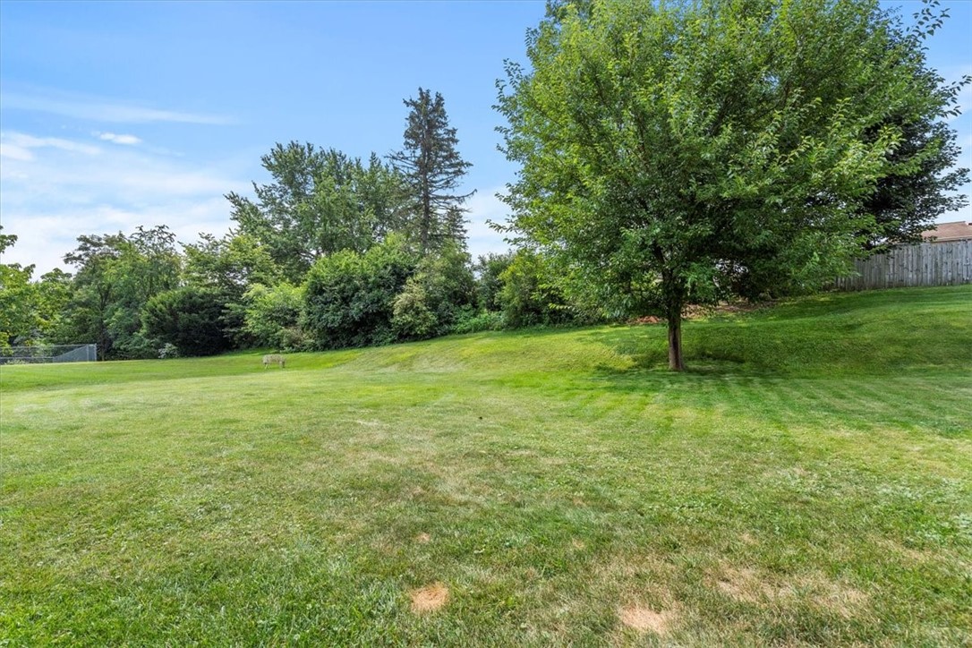 226 Barbara Drive