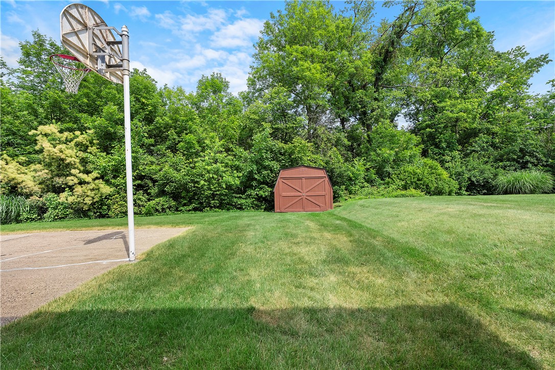 1031 Fiddleback Dr