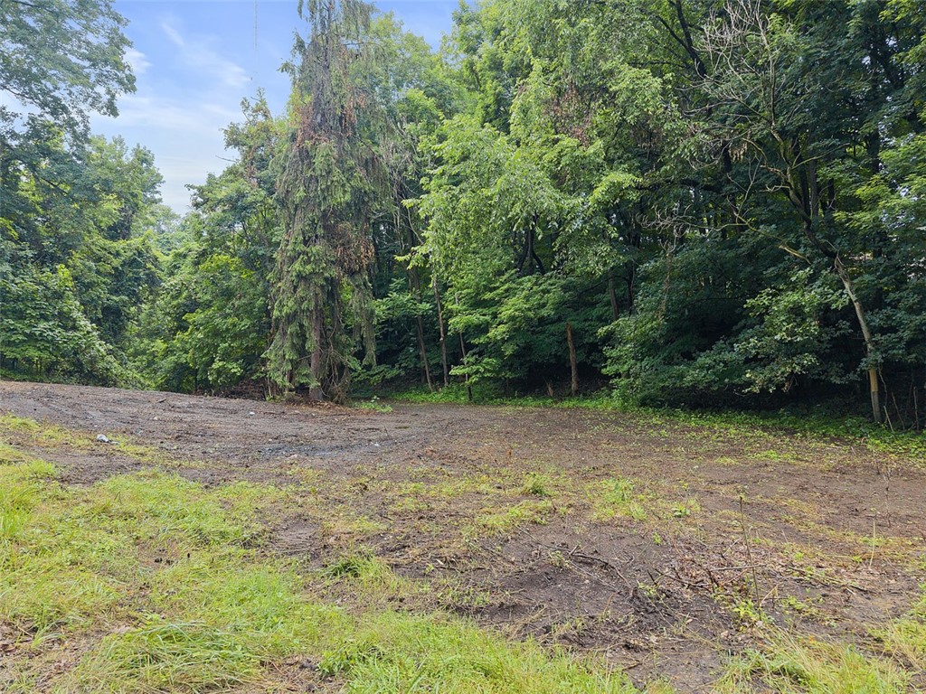 199 Charley Allison Rd