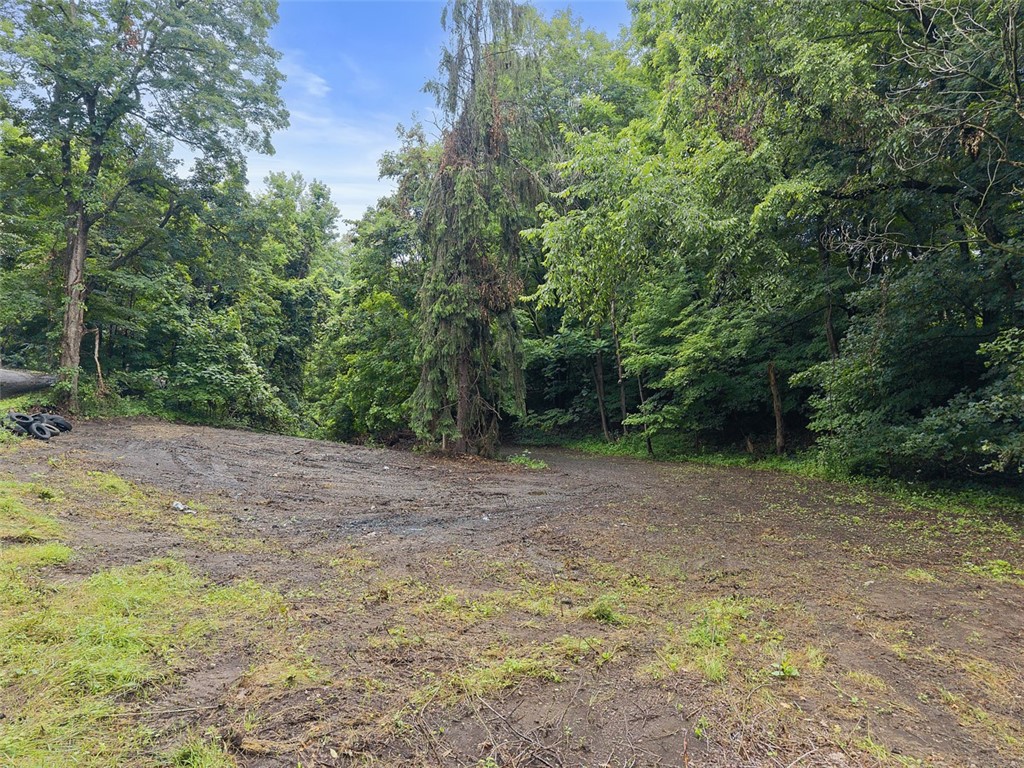 199 Charley Allison Rd