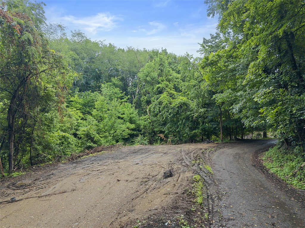 199 Charley Allison Rd