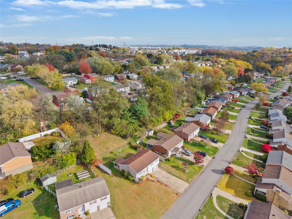 4036 Crabapple