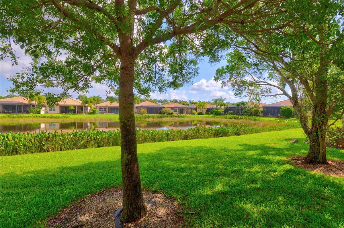8681 Cathedral Peak Court
