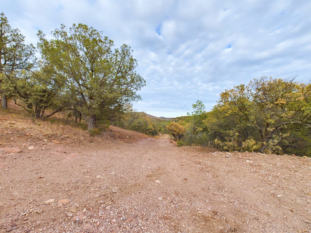 305 Tomahawk Trail