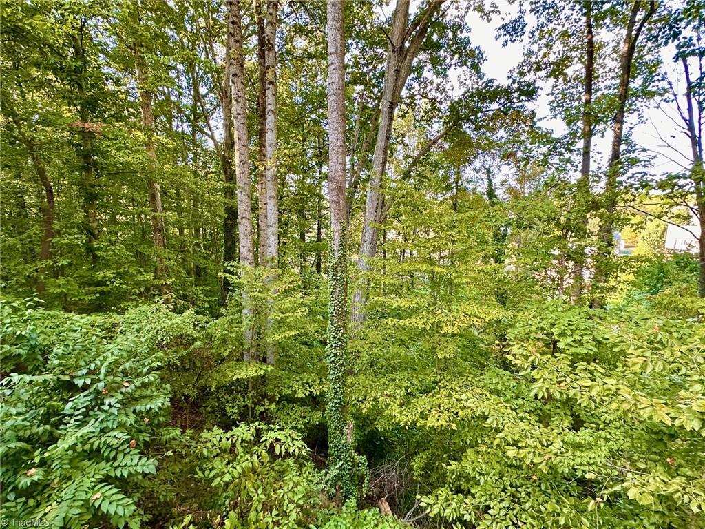 1037 Alabnon Road