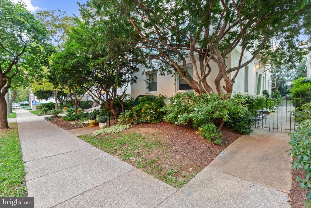 3405 Greenway #1