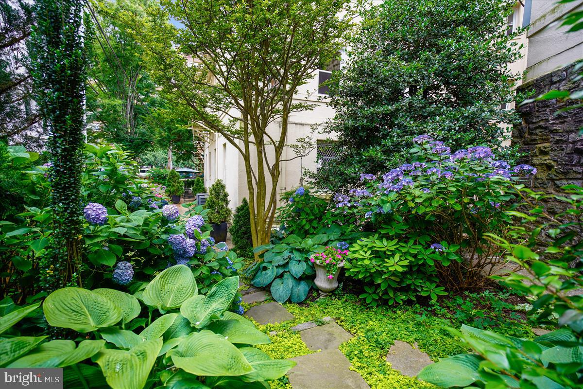 3405 Greenway #56